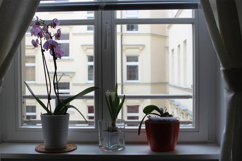 Apartment - Berlin City Studio 外观 照片